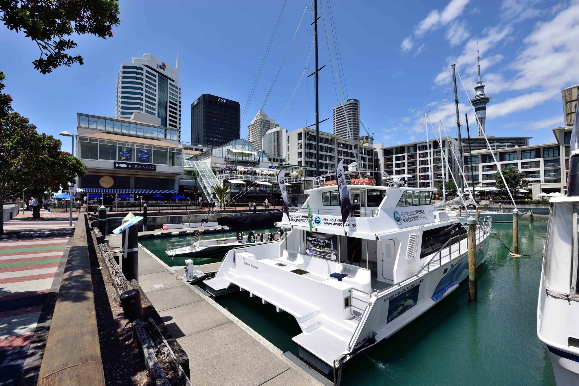 Furnished Apartment In Auckland Cbd Zewnętrze zdjęcie